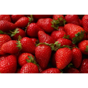 strawberry plants everbearing frugal farm