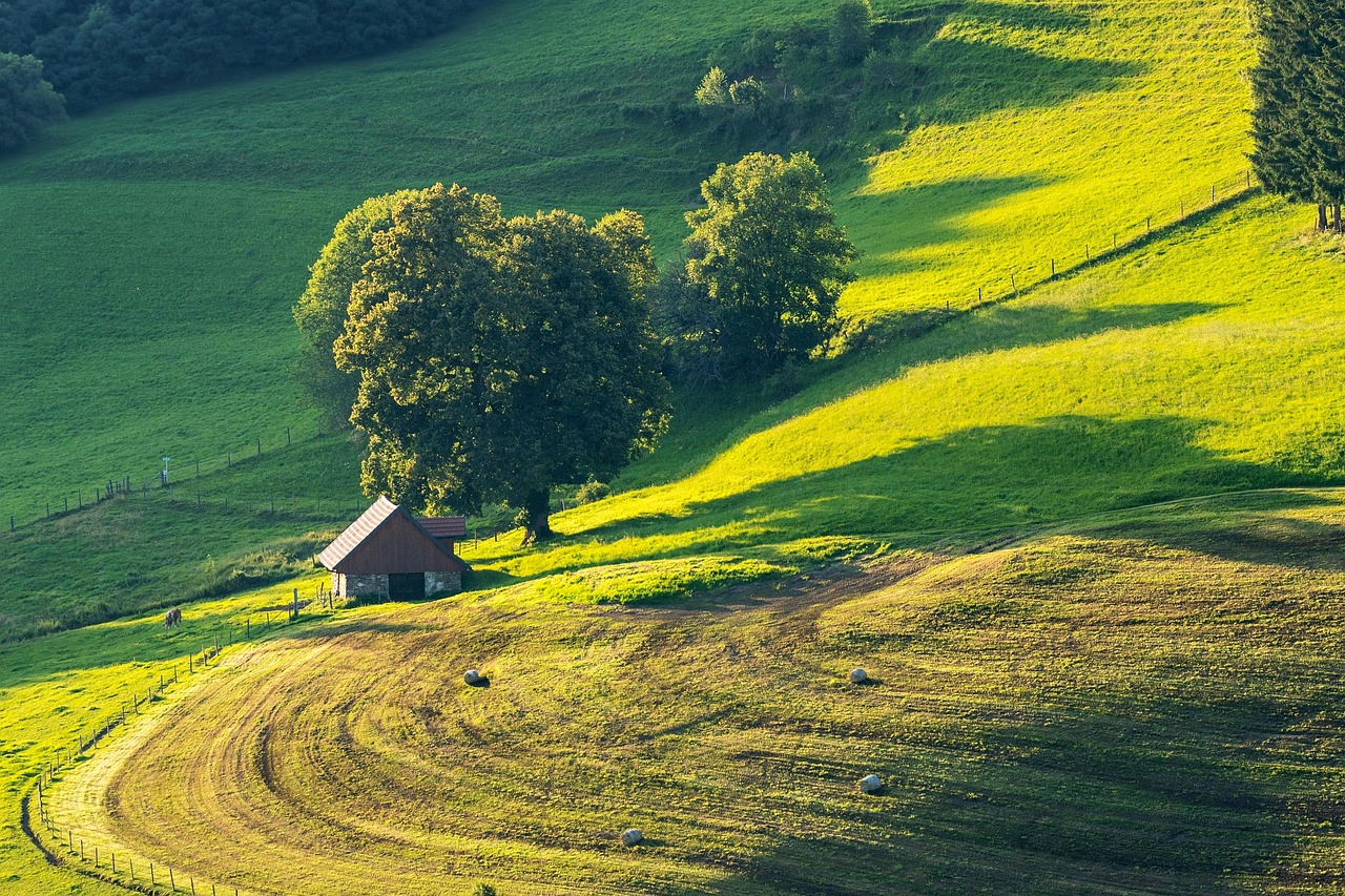 frugal farm life homestead