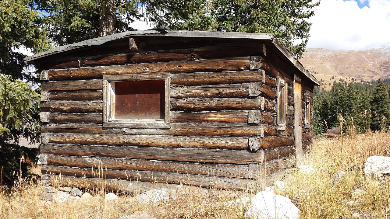 settlers old cabin arkansas ozarks